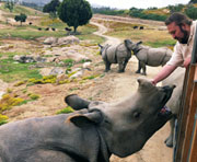 Paul with Rhino